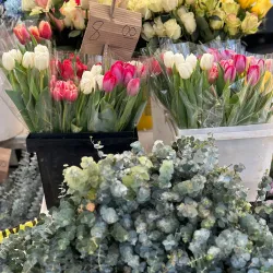 San Ramon Farmers Market - San Ramon