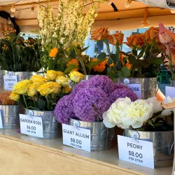 San Ramon Farmers Market - San Ramon