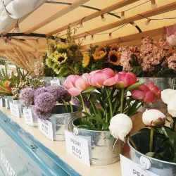 San Ramon Farmers Market - San Ramon