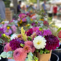 San Ramon Farmers Market - San Ramon