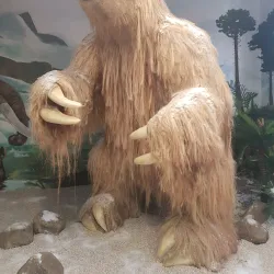 San Ramon Museum - San Ramon