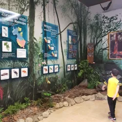 San Ramon Museum - San Ramon