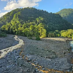 Braulio Carrillo National Park - San Vicente