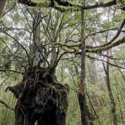 Braulio Carrillo National Park - San Vicente
