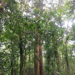 Catarata del Toro - San Vicente