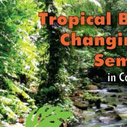 La Selva Biological Station - San Vicente