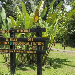 La Selva Biological Station - San Vicente