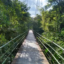 La Selva Biological Station - San Vicente
