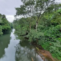 La Selva Biological Station - San Vicente