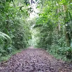 La Selva Biological Station - San Vicente