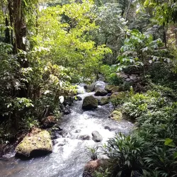 La Selva Biological Station - San Vicente