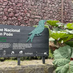 Poás Volcano National Park - San Vicente