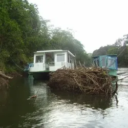 Sarapiquí River - San Vicente