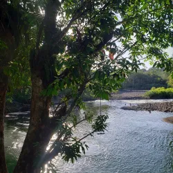 Sarapiquí River - San Vicente