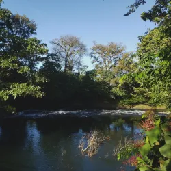 Sarapiquí River - San Vicente