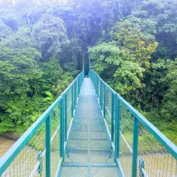 Selva Verde Lodge & Rainforest Reserve - San Vicente