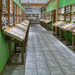 Cultural Center of San Vito - San Vito