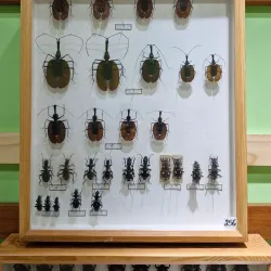 Cultural Center of San Vito - San Vito