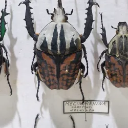 Cultural Center of San Vito - San Vito