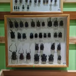 Cultural Center of San Vito - San Vito