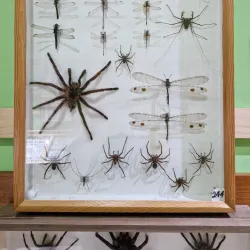 Cultural Center of San Vito - San Vito