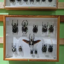 Cultural Center of San Vito - San Vito