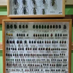 Cultural Center of San Vito - San Vito