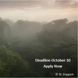 Las Cruces Biological Station - San Vito