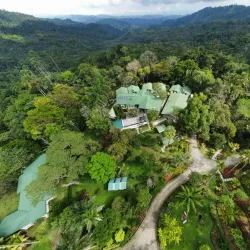 Las Cruces Biological Station - San Vito