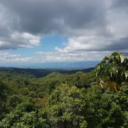 Las Cruces Biological Station - San Vito