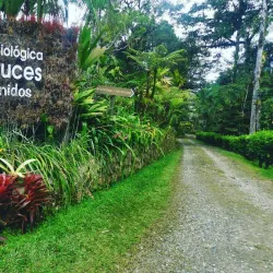 Las Cruces Biological Station - San Vito
