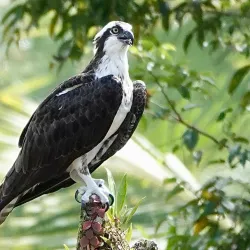 Piedras Blancas National Park - San Vito