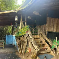 Rio Claro Waterfalls - San Vito