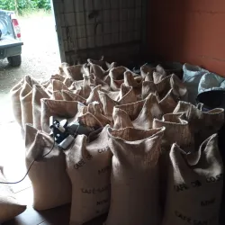 San Vito Coffee Plantations - San Vito