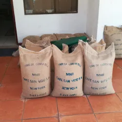 San Vito Coffee Plantations - San Vito