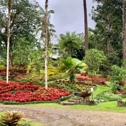 San Vito Community Museum - San Vito