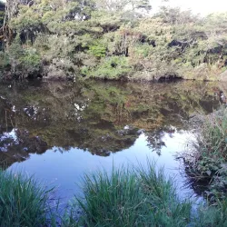 Cerro de la Muerte - Santa Ana