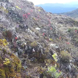 Cerro de la Muerte - Santa Ana