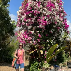 Coffee Plantations Tour - Santa Ana