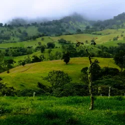 Zona Franca Metropolitana - Santa Ana