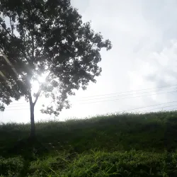 Zona Franca Metropolitana - Santa Ana