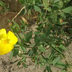 Hiking Trails Around Santa Barbara - Santa Barbara