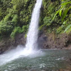 La Paz Waterfall Gardens - Santa Barbara