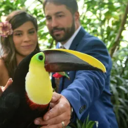 La Paz Waterfall Gardens - Santa Barbara