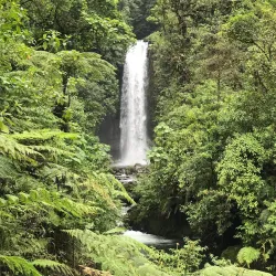 La Paz Waterfall Gardens - Santa Barbara