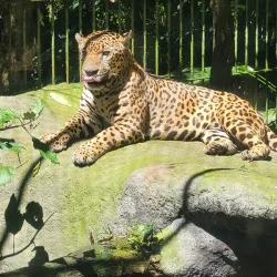 La Paz Waterfall Gardens - Santa Barbara