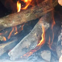 Local Artisans' Workshops - Santa Barbara