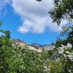 Santa Barbara Botanical Garden - Santa Barbara