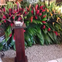 Santa Barbara Church - Santa Barbara