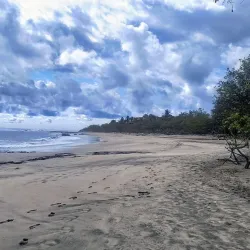 Playa Conchal - Santa Cruz
